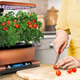 AeroGarden Harvest Elite with Gourmet Herb Seed Pod Kit | $120 | Amazon | All four colors available